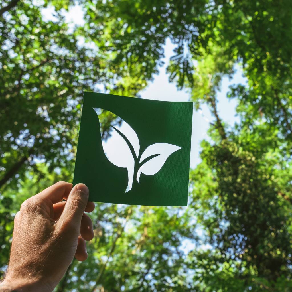 Bioeco-b bk bs Gorzów Wielkopolski Zielona Góra łódzkie Łódź