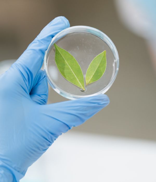 Bioeco-hz bioeco-hzm podkarpackie Rzeszów podlaskie Białystok