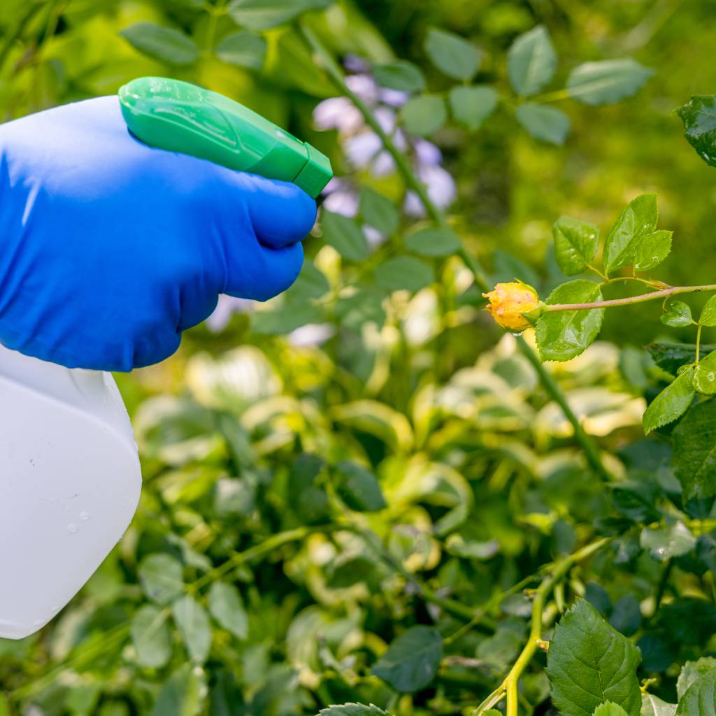 Bioeco-bp biobet małopolskie Kraków wielkopolskie